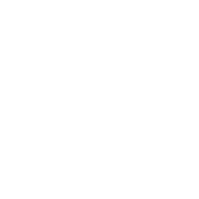artist